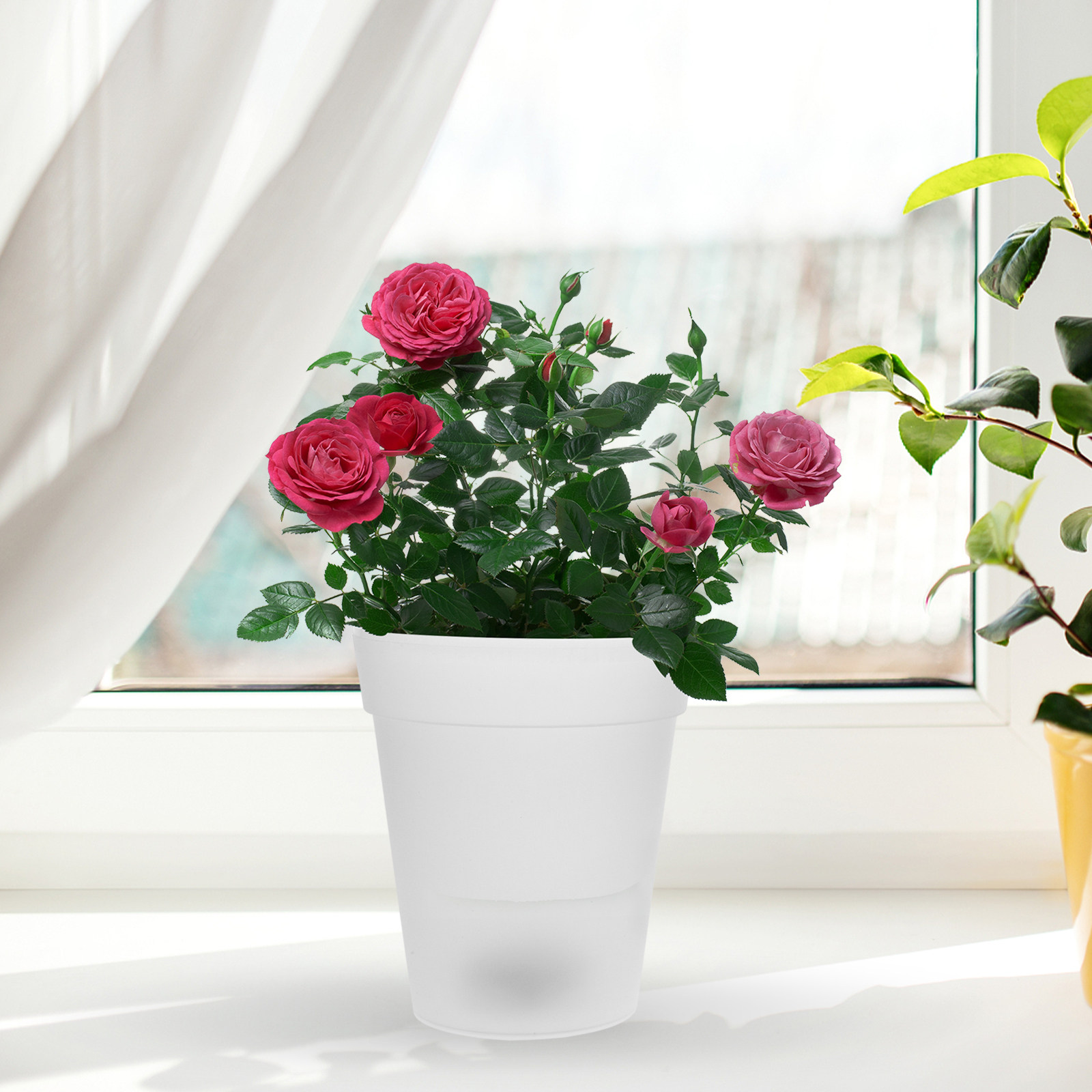 Flowerpot Solar Light Outdoor  - Christmas Lights Outdoor บทวิจารณ์และราคา