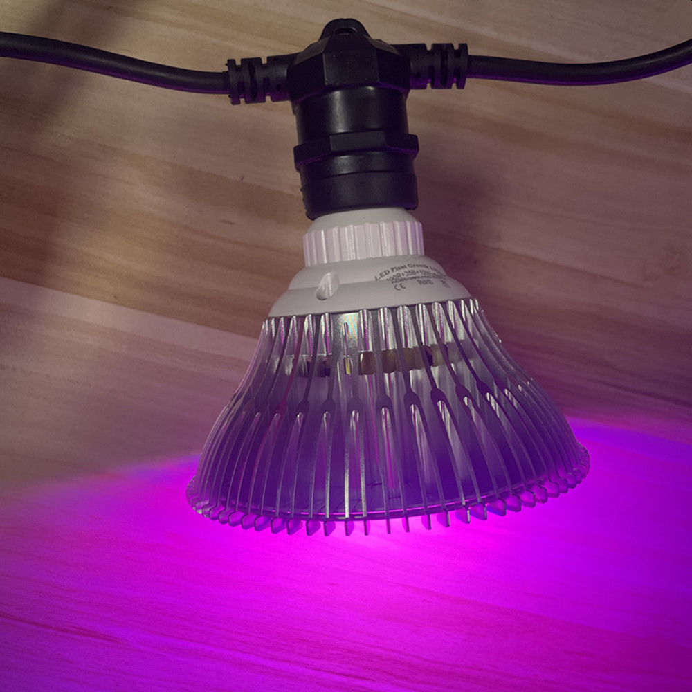 10M Cable LED String Commercia - Led Fairy String Lights บทวิจารณ์และราคา