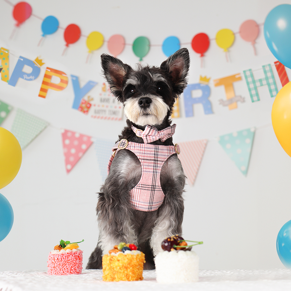 3pcs/set Dog Collar Harness le - Christmas Throw Blanket บทวิจารณ์และราคา