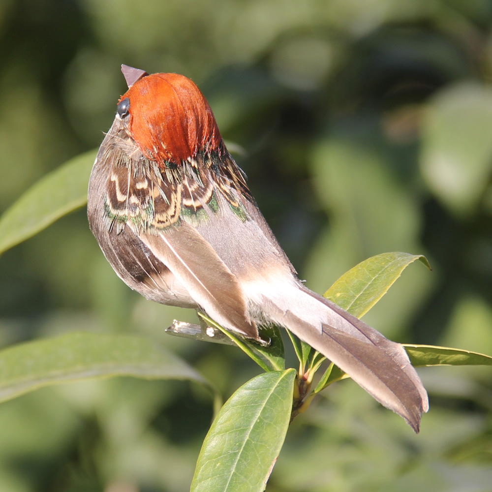 2Pcs Hot Feather Bird Imitatio - Christmas Tree Artificial บทวิจารณ์และราคา